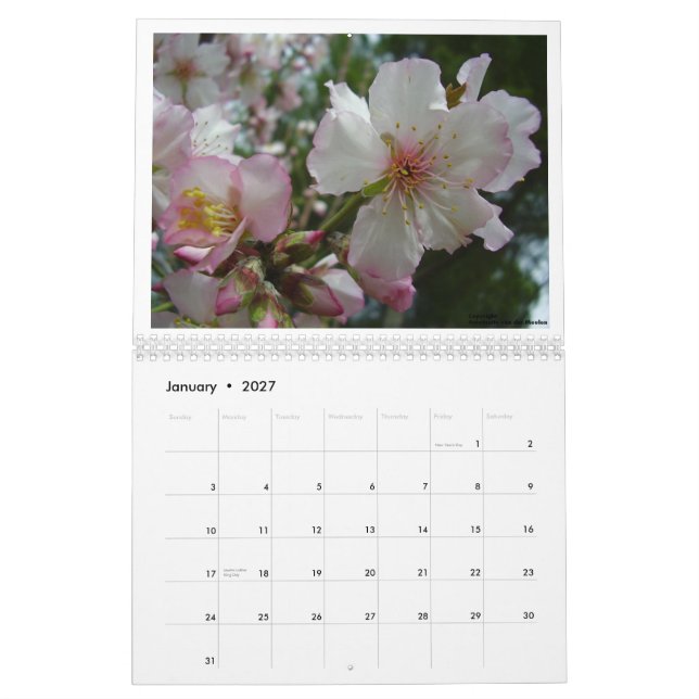 Blommor av Israel Kalender (Jan 2027)