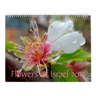 Blommor av Israel: Kalender 2017