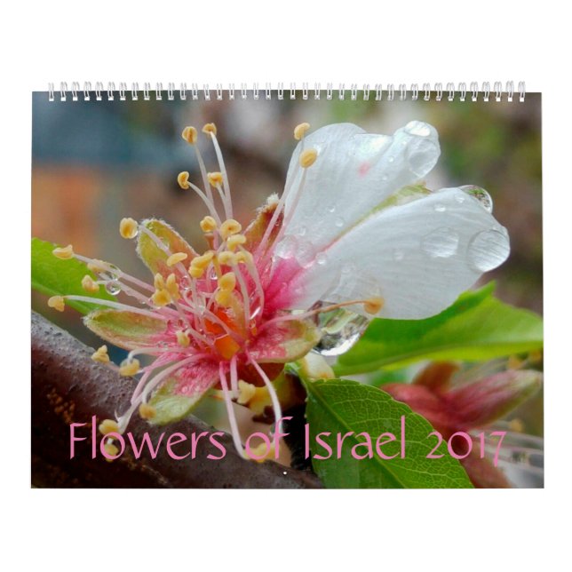 Blommor av Israel: Kalender 2017 (Omslag)