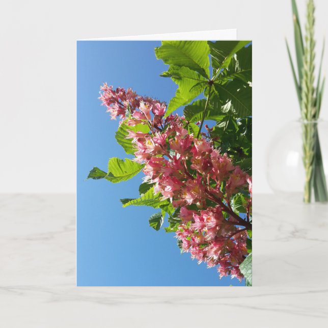Blommor av kastanj träd från vår kort (Framsida)