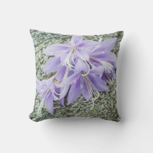 blommor av lavender hosta i fullt-blomman kudde