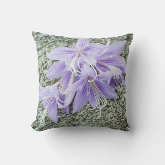 blommor av lavender hosta i fullt-blomman kudde (Framsida)