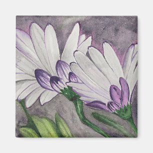 Blommor av plommon, daisy magnet