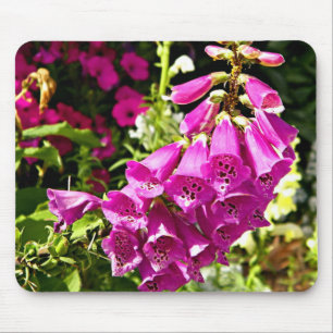 Blommor av röda digitalis musmatta