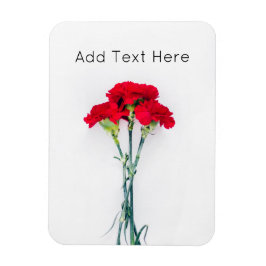 Blommor av rödnejlikor magnet