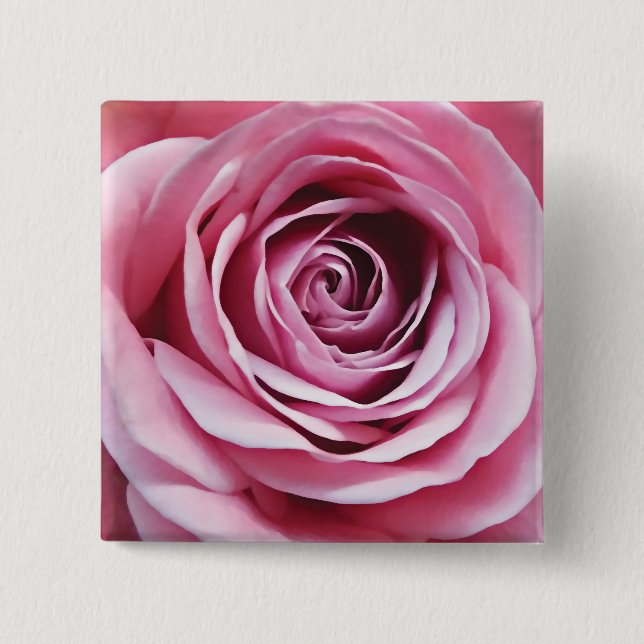 Blommor av rosa ros knapp (Framsida)