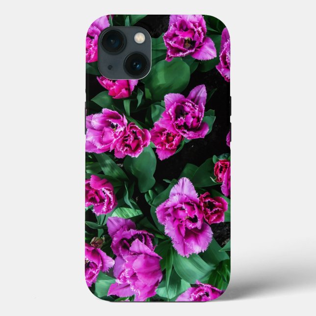Blommor av rosa tulpaner (Baksida)