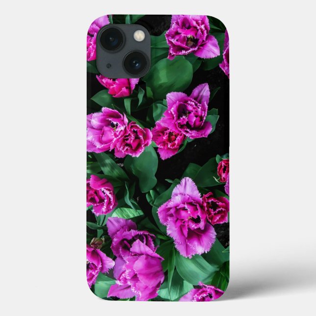 Blommor av rosa tulpaner (Baksida)