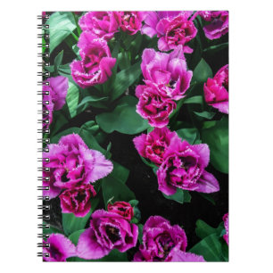 Blommor av rosa tulpaner anteckningsbok