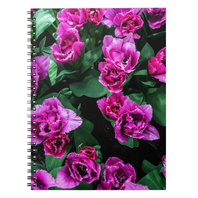Blommor av rosa tulpaner anteckningsbok (Framsidan)
