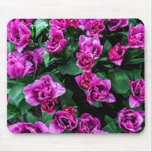Blommor av rosa tulpaner musmatta
