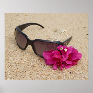 Blommor av sunglass och bougainvillia på korall poster