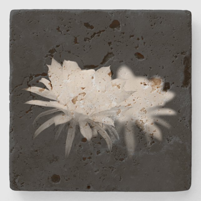 Blommor av svart och vitt kaktus stenunderlägg (Framsidan)