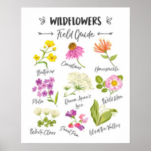 Blommor av Vild av vilda blommor poster plantskolo