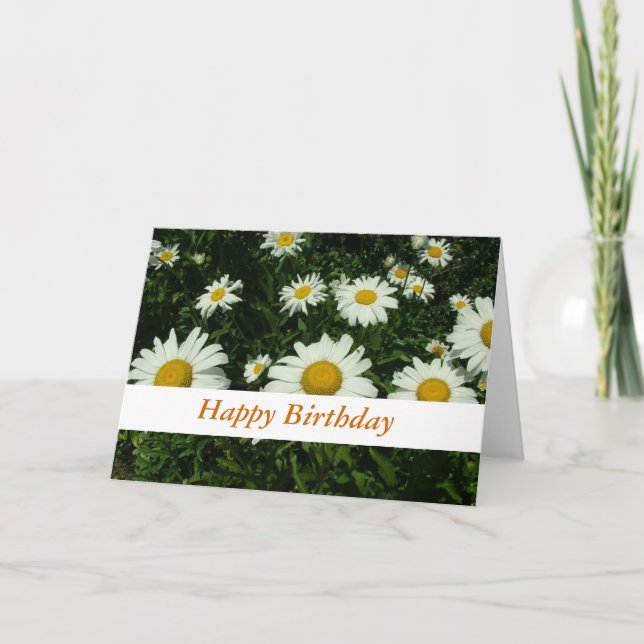 Blommor av vit daisy grattis på födelsedagen kort (Framsida)