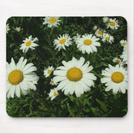 Blommor av vit daisy musmatta