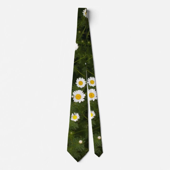 Blommor av vit daisy slips (Framsida)