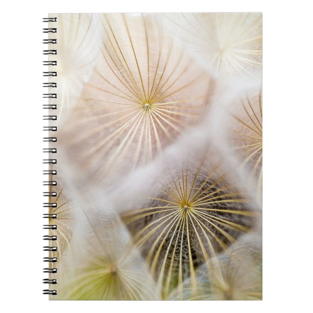 Blommor av vit dandelion anteckningsbok (Framsidan)
