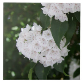 Blommor av vita bergslättor kakelplatta