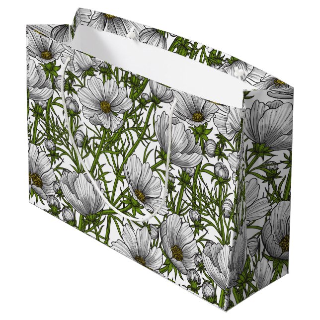 Blommor av vitkosmos (Baksidan Vinklad)
