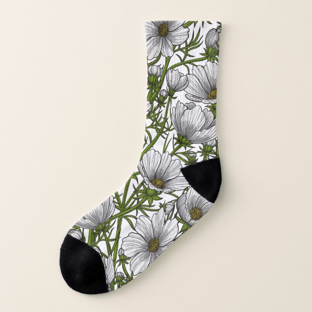 Blommor av vitkosmos strumpor (Vänster utanför)
