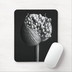 Blommor B&W Allium Flower Bud Musmatta