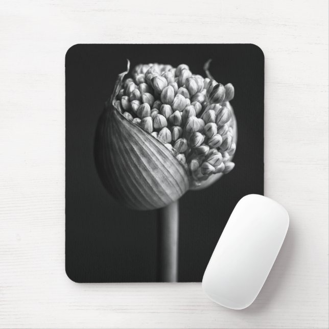 Blommor | B&W Allium Flower Bud Musmatta (Med mus)