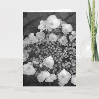 Blommor B&W Kort