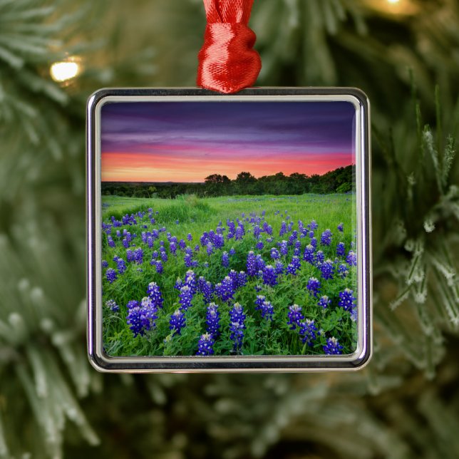 Blommor | Blånät i Sunset Texas Julgransprydnad Metall (Träd)