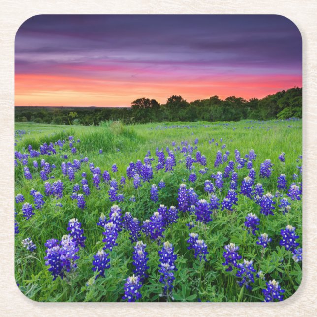 Blommor | Blånät i Sunset Texas Underlägg Papper Kvadrat (Framsidan)