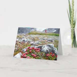 Blommor bland stenar kort