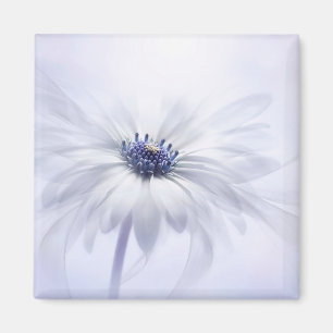 Blommor Blekens Lila blomma Magnet