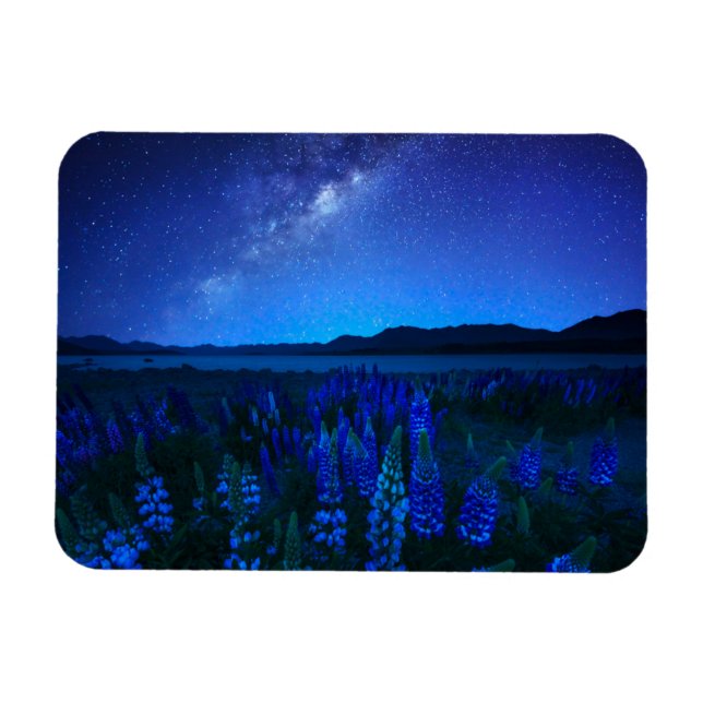 Blommor | Blodvallning vid Natten Sjö Tekapo Magnet (Horisontell)