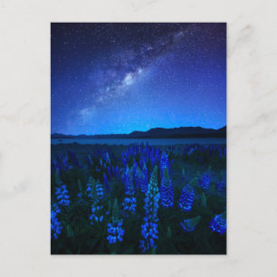Blommor Blodvallning vid Natten Sjö Tekapo Vykort
