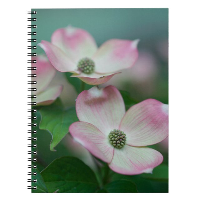 Blommor | Blommar av Dogwood Anteckningsbok (Framsidan)