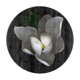 Blommor   Blommar av vita Magnolia