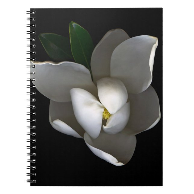 Blommor | Blommar av vita Magnolia Anteckningsbok (Framsidan)