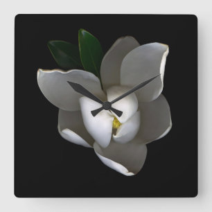 Blommor Blommar av vita Magnolia Fyrkantig Klocka
