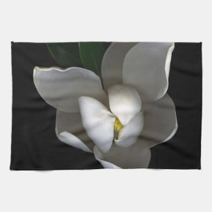 Blommor   Blommar av vita Magnolia Kökshandduk
