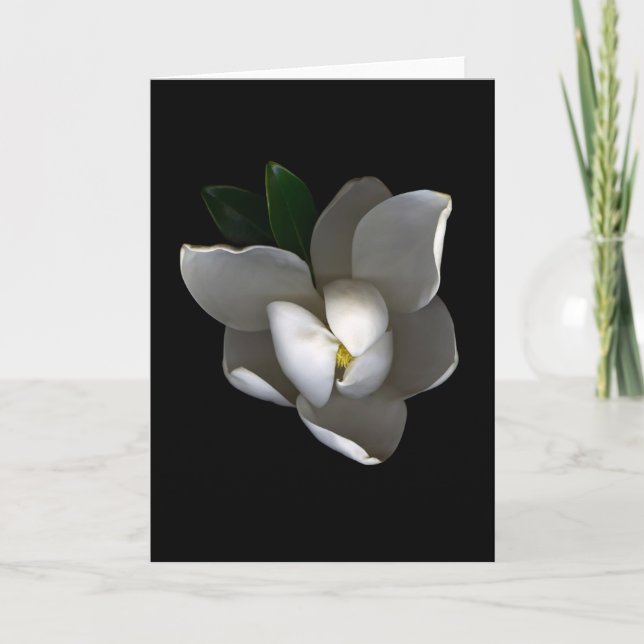 Blommor | Blommar av vita Magnolia Kort (Framsida)
