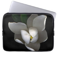 Blommor | Blommar av vita Magnolia