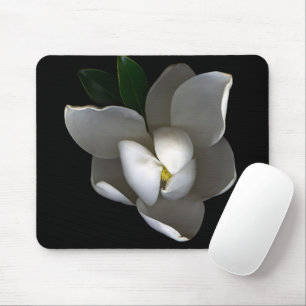 Blommor Blommar av vita Magnolia Musmatta