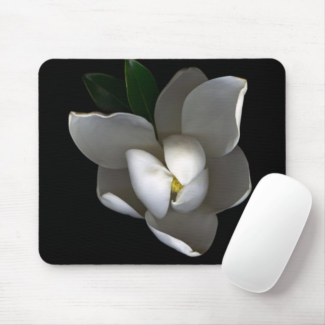 Blommor | Blommar av vita Magnolia Musmatta (Med mus)