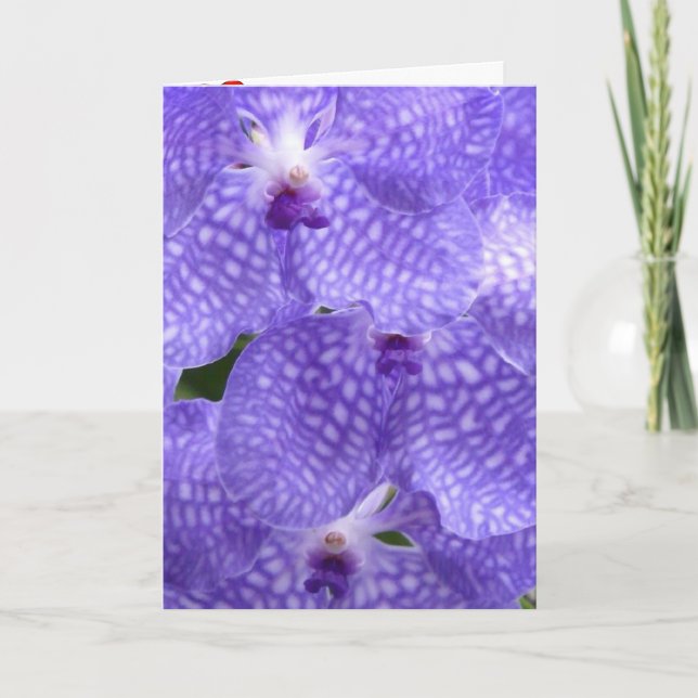 Blommor Blommor Orkidéer Fred Kärlek Öde Tack Kort (Framsida)