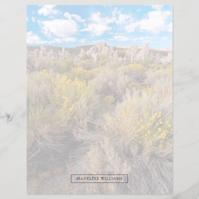 Blommor | Blooming Sagebrush Kalifornien (Framsida)