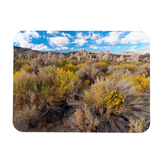 Blommor | Blooming Sagebrush Kalifornien Magnet (Horisontell)