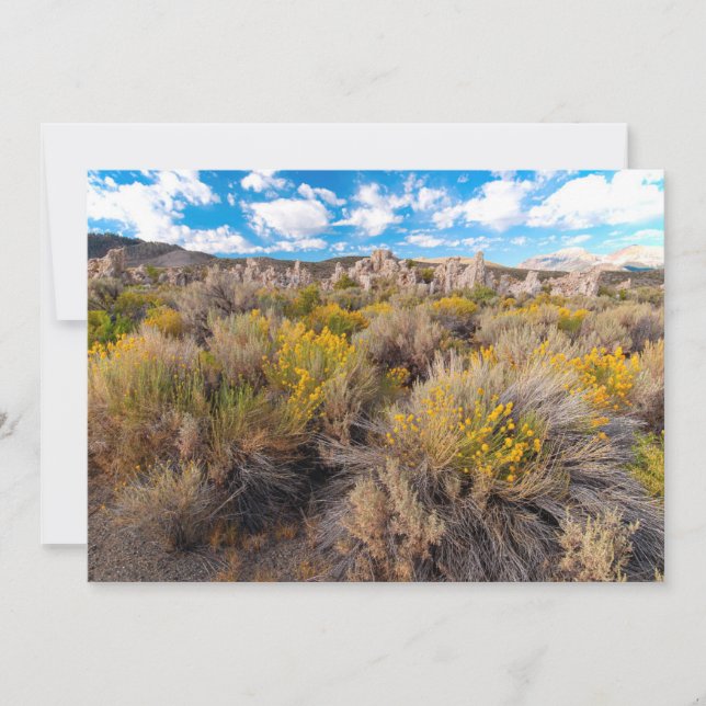 Blommor | Blooming Sagebrush Kalifornien Tack Kort (Framsida)