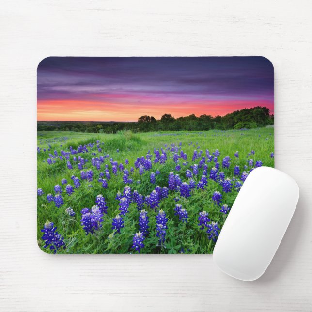 Blommor | Bluebonnets vid solnedgång Texas Musmatta (Med mus)