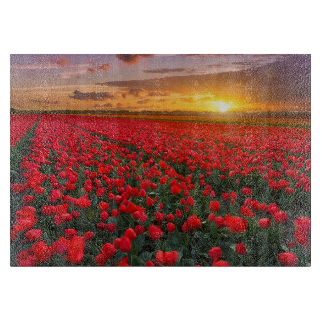 Blommor | Botaniskt Garden Holland (Framsidan)