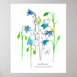Blommor, botaniskt konstspråk poster